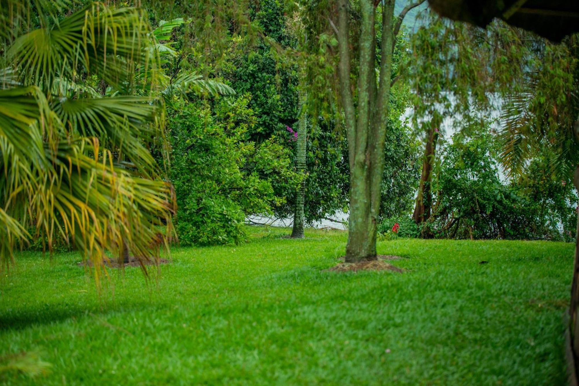 Paradise Malahide جيسايني المظهر الخارجي الصورة