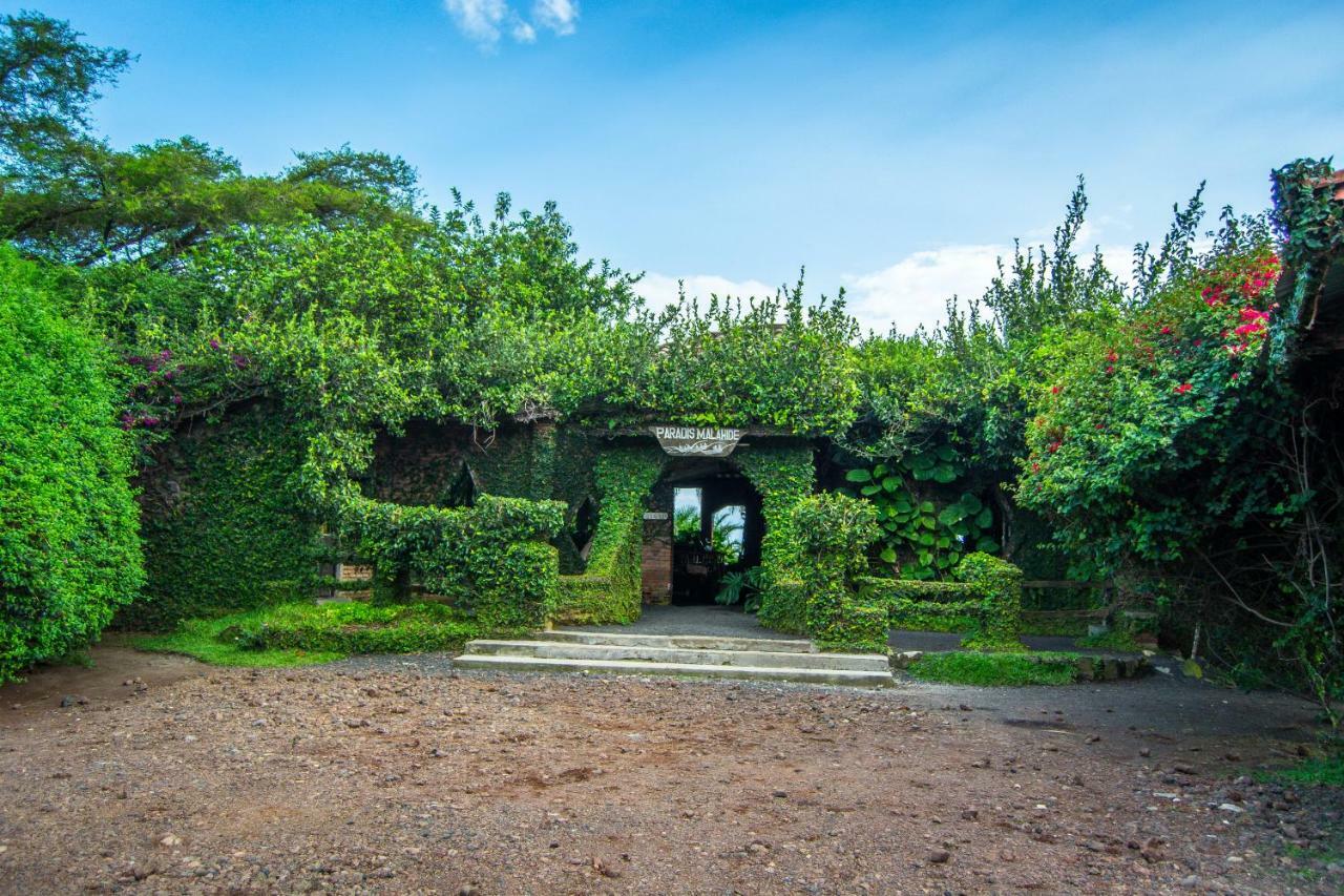 Paradise Malahide جيسايني المظهر الخارجي الصورة